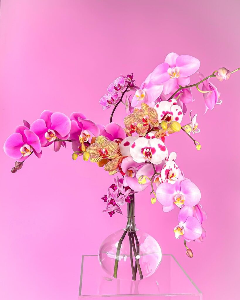 Flower arrangement with pink, magenta, yellow and white orchids