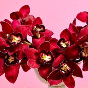 Flower arrangement of red orchids