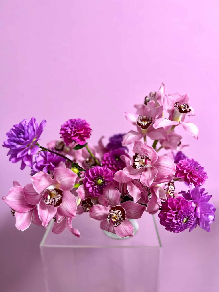 purple orchids violet flowers