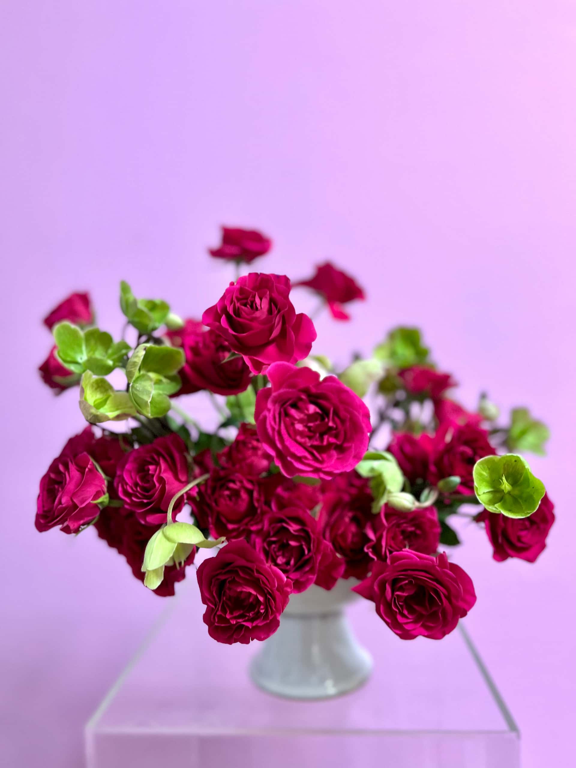 ruby roses and green hellebore